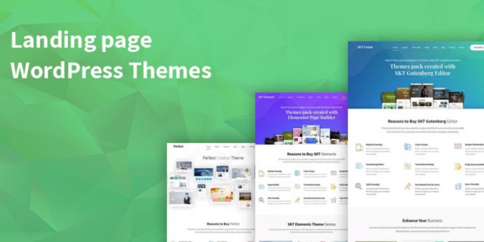 Elevate Your Website with WordPress Landing Page Themes